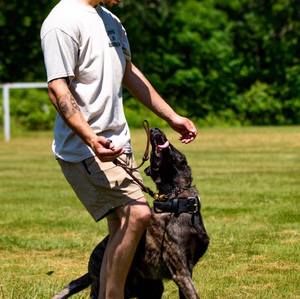 Meet your Posher, Eric